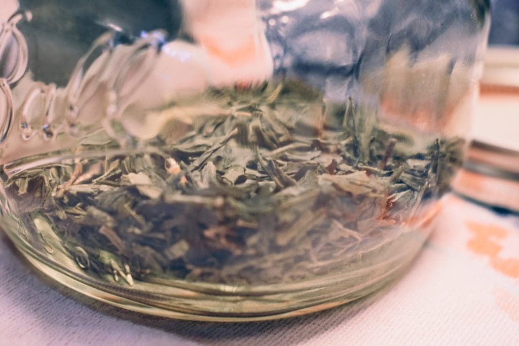 Dry green sencha tea, photo by Christine Csencsitz