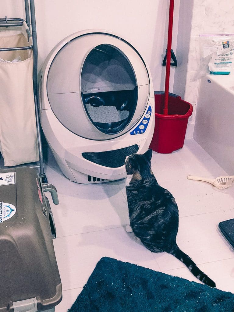 Cat Mom Life: Honest Thoughts on the Litter Robot