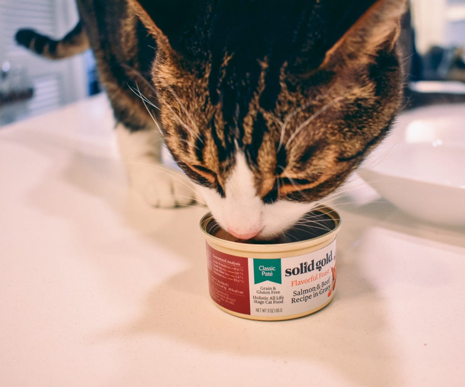 Solid Nutrition with Solid Gold Cat Food Cats & Coffee