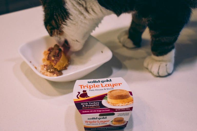 Solid Nutrition with Solid Gold Cat Food Cats & Coffee