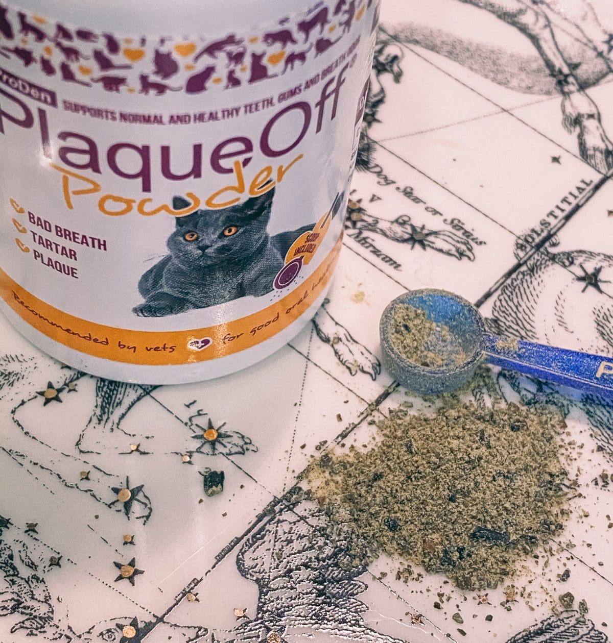 Cat Mom Life: ProDen PlaqueOff Powder for Dental Health -- Louis and Olivia have been using this dental health supplement for some time to great results