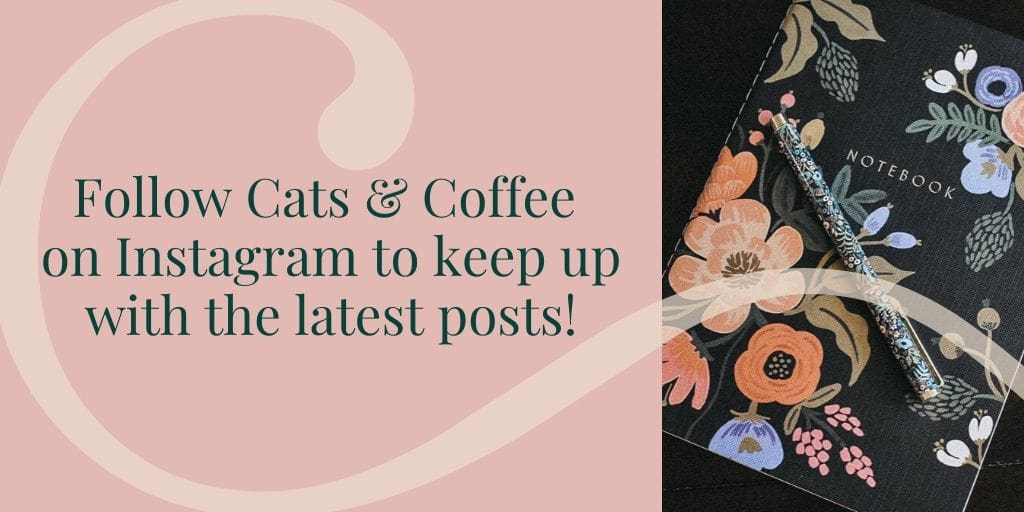 Follow Cats & Coffee on Instagram! @catsandcoffeebycc