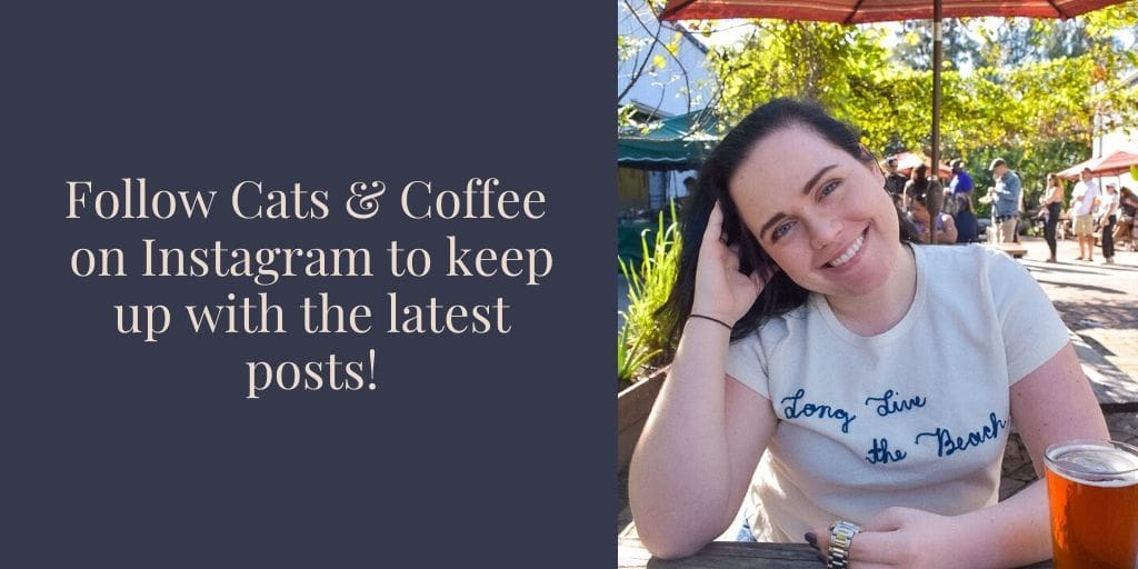 Follow Cats & Coffee on Instagram to keep up with the latest posts!