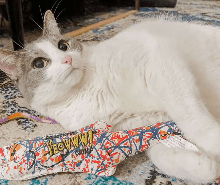 Cat Mom Life: The Best Catnip Toys