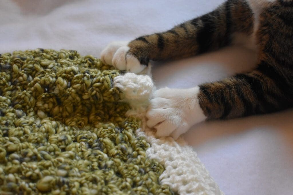 Critter Crafting specializes handmade crochet pet blankets for cats and small dogs. Read up on Cat Mat FAQ and learn more about my cozy pet blankets here!