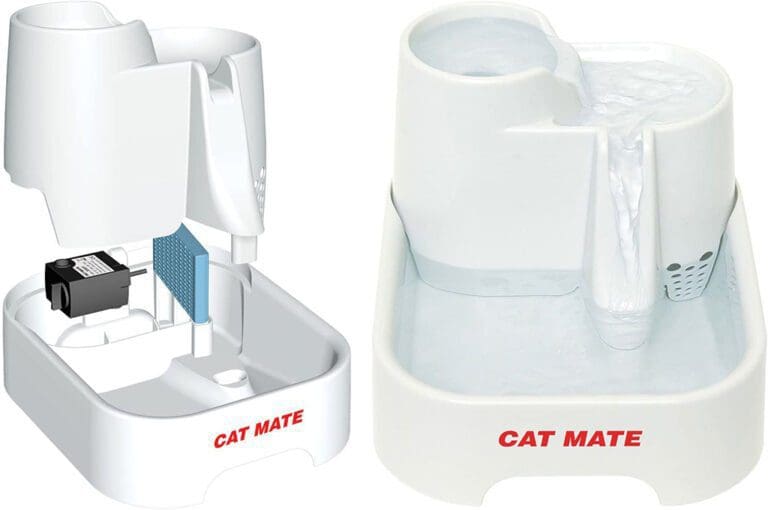 The Best Pet Water Fountains for Cats Cat Fountain Review