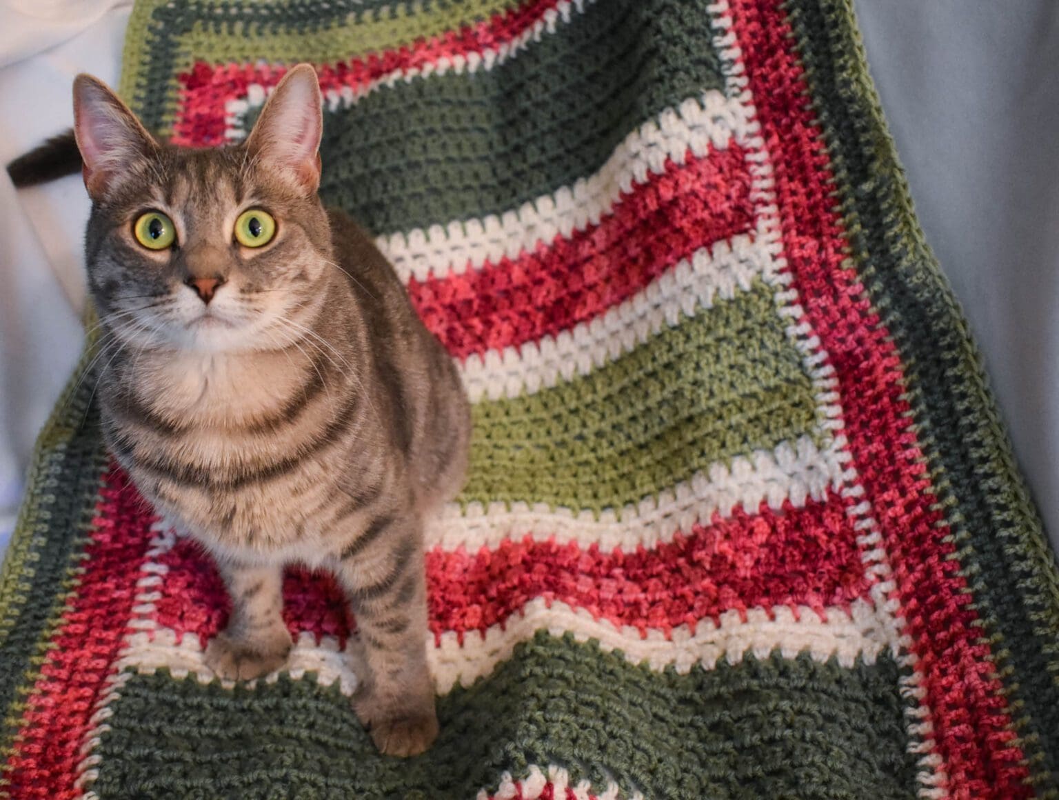 Critter Crafting Cat Mats Pet Blankets for Cats Cats & Coffee Cat