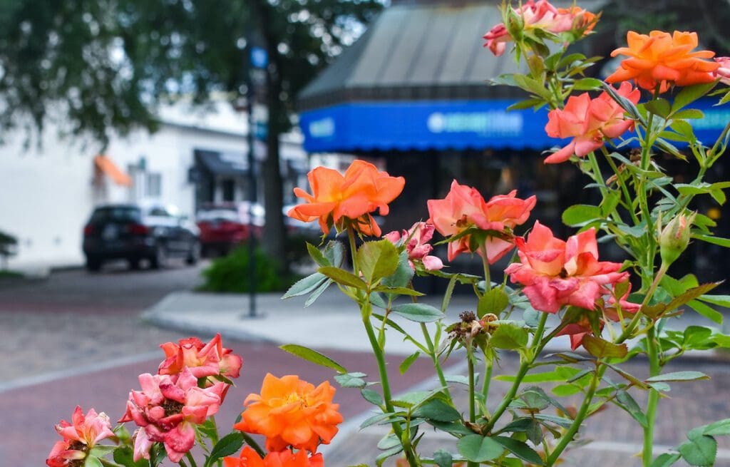 Park Ave in Winter Park, Florida is home to a number of small businesses.