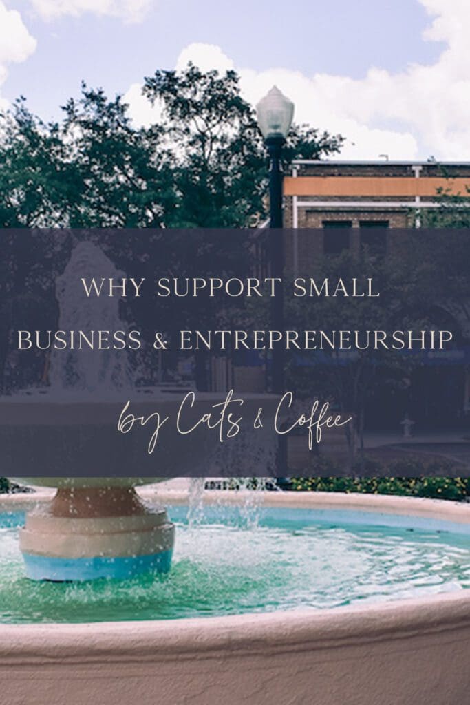 Previously, I've written about how we could support small businesses towards the beginning of the pandemic and shut down. While that information remains true, this piece seeks to expand on why it is so important to support small business and entrepreneurship, particularly in our own local economies. Learn more about how small business and entrepreneurship affects our economy and why we should all be supporting such businesses here.