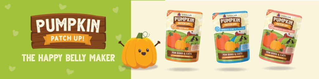 Weruva released a new version of their puréed pumpkin supplement pouches last week. These pouches are designed to promote health in both dogs and cats, and my kitties are obsessed. Weruva Pumpkin Patch Up pouches are now available in three flavors and my cats tried them out early. Read the full Weruva Pumpkin Patch Up Supplement review here!