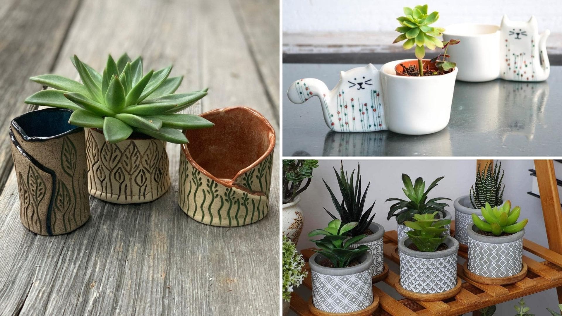 Decorating the Home with Cute Little Plant Pots Cats & Coffee Home