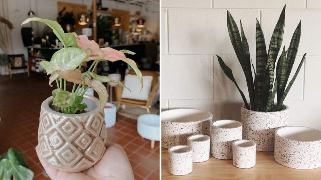 Decorating the Home with Cute Little Plant Pots --  The Medina Pot and The Terrazzo Pot & Vase Collection from The Heavy Plant Store in Winter Park, Florida