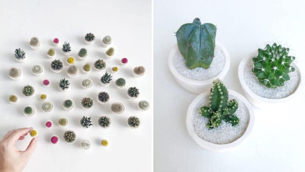 Decorating the Home with Cute Little Plant Pots - Etsy Shop TierraSolStudio - SURPRISE! Mini Cactus and Mini Handmade Ceramic Planter ($17/each)