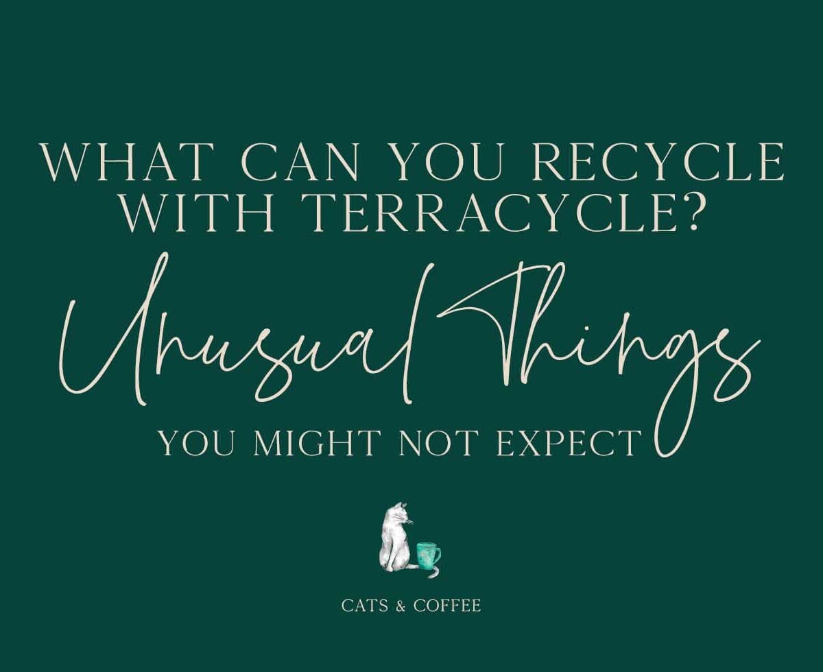 What Can You Recycle with Terracycle?- Unusual Things You Might Not Expect