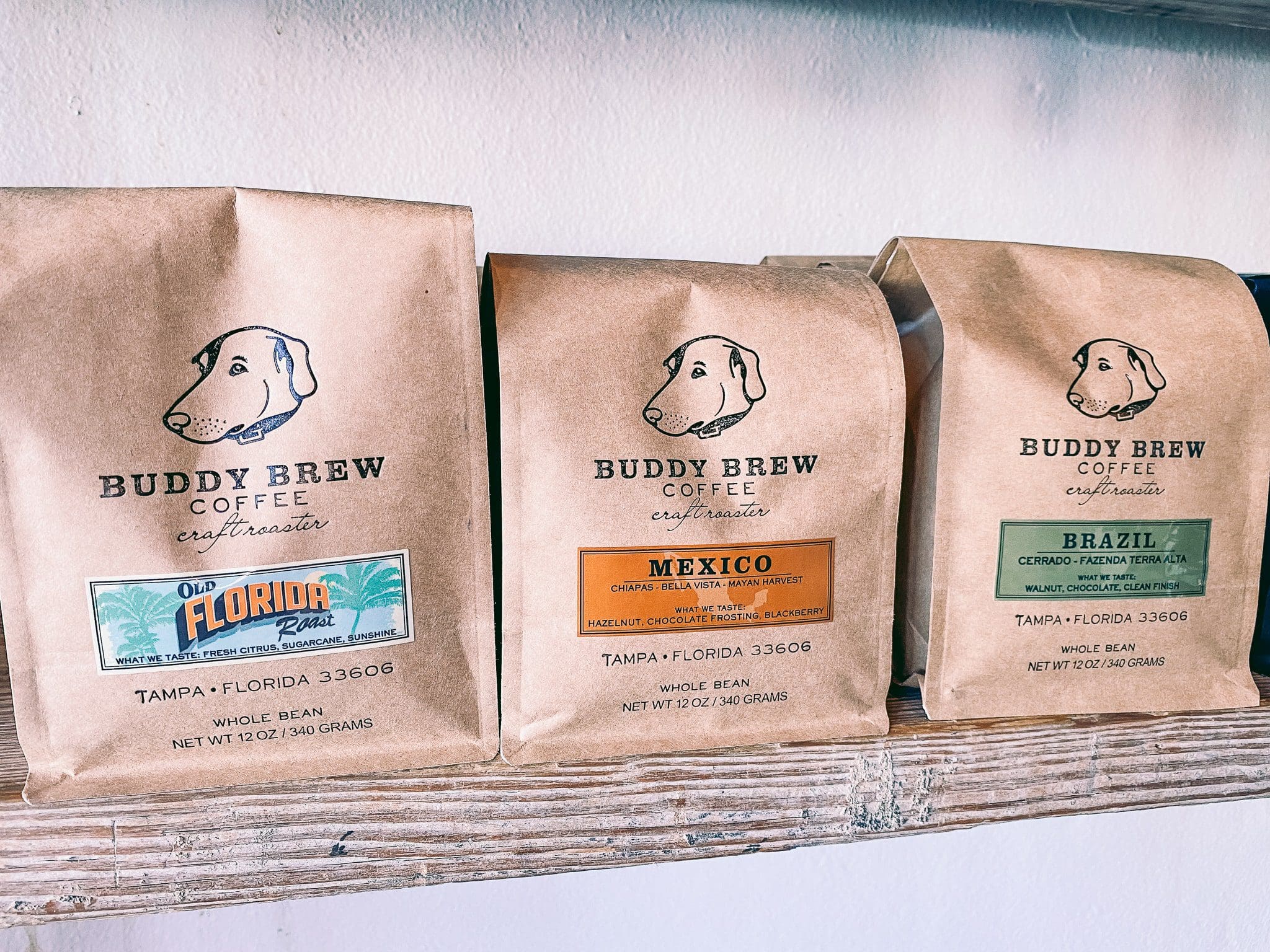Buddy Brew Coffee in Tampa, Florida Cats & Coffee Food and Drink
