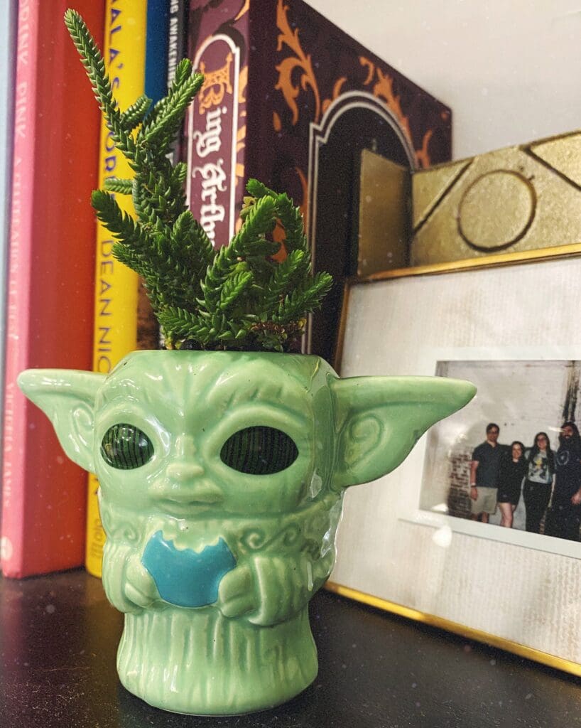 Star Wars The Mandalorian The Child Baby Yoda Chia Pet Decorative Planter -  Pots & Planters, Facebook Marketplace