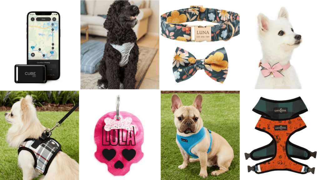Luxury Dog Accessories and Pet Collars