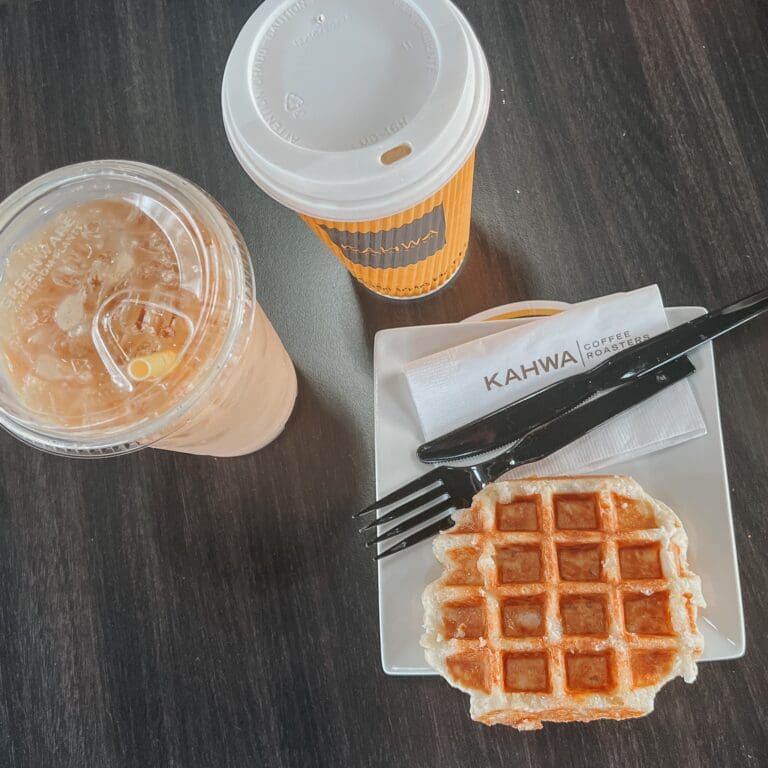 The Best Tampa Coffee Shops Cats & Coffee Tampa Guide