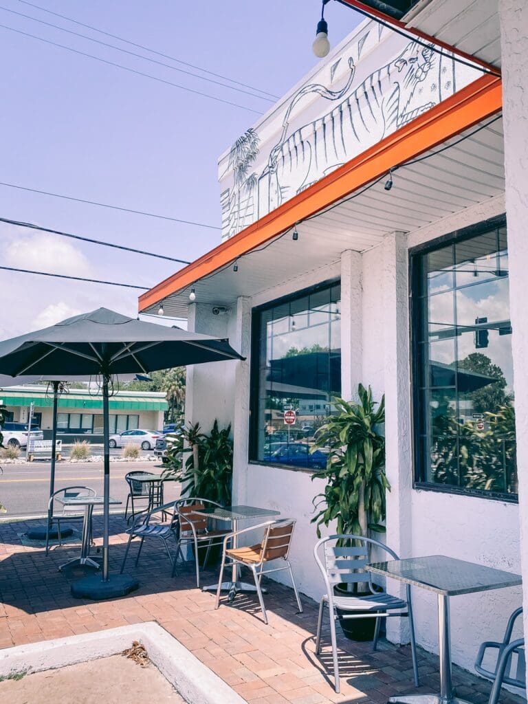 The Best Tampa Coffee Shops Cats & Coffee Tampa Guide