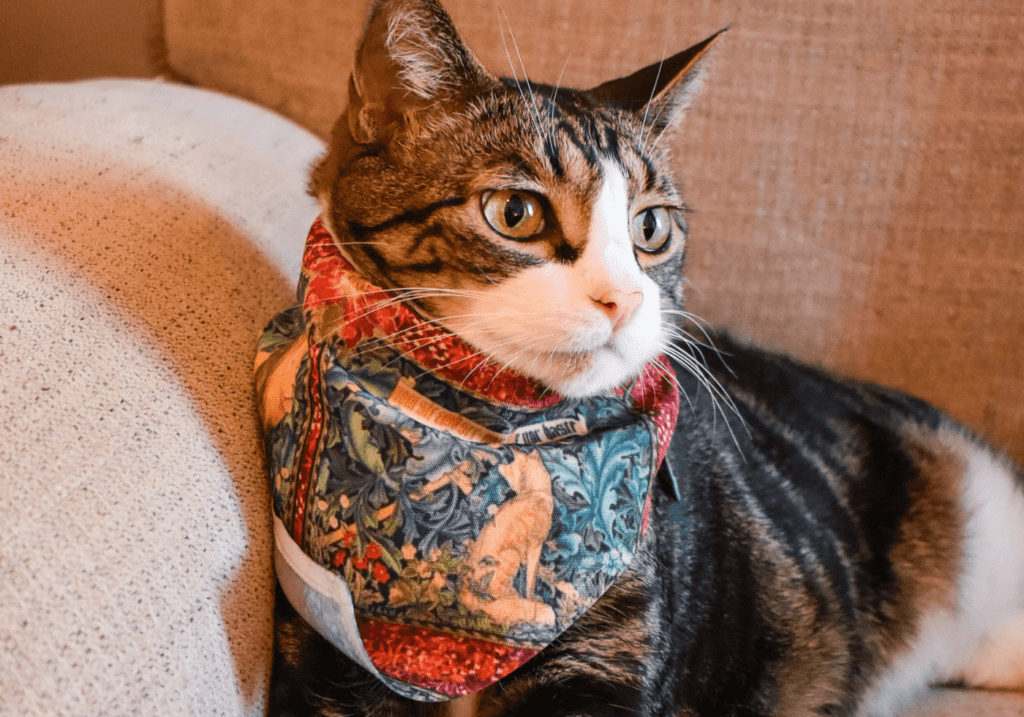Louis wears the Green Floral Tapestry Pet Bandana from Redbubble Pet