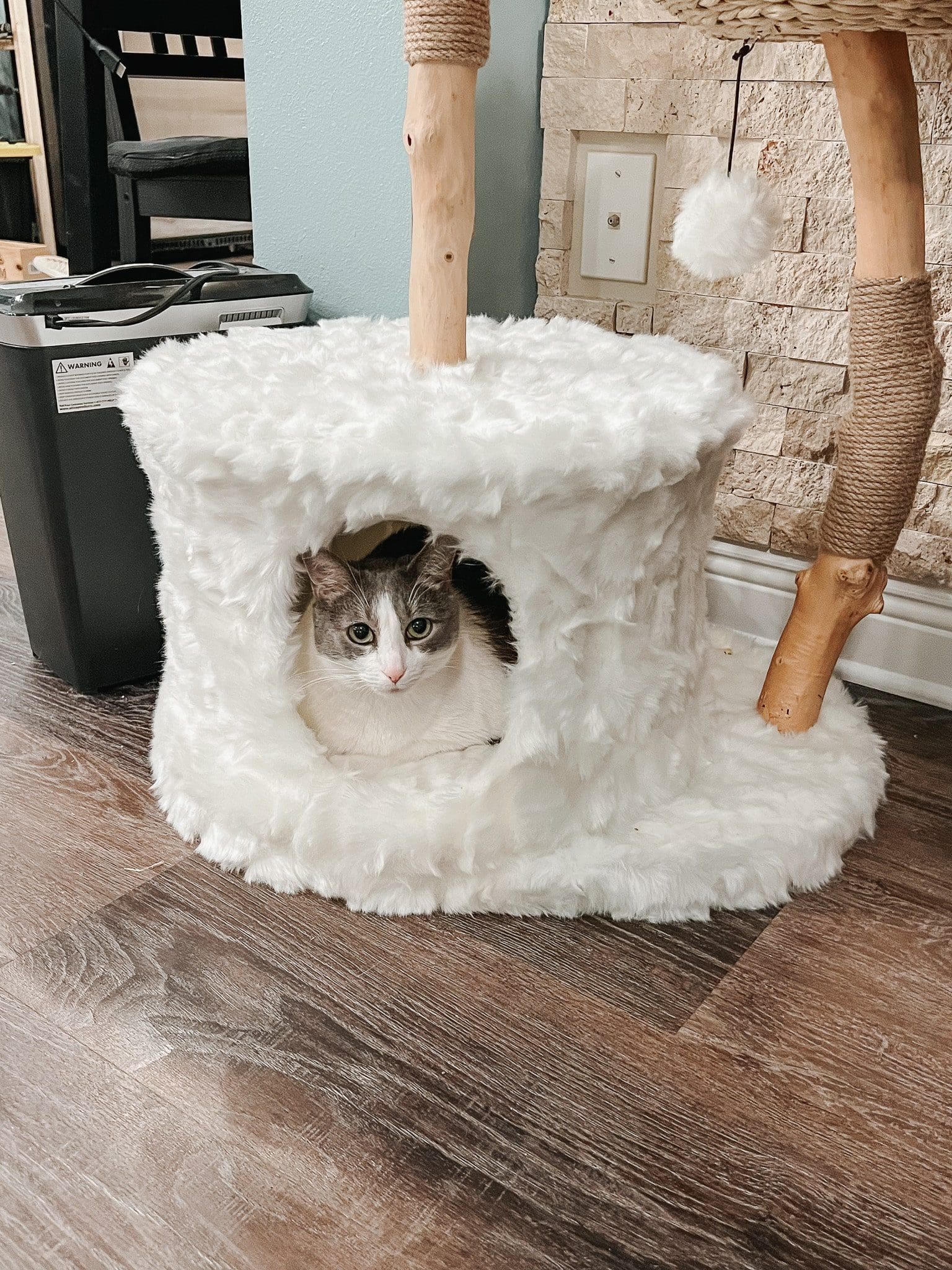 Mau Pets Cat Tree Review Modern Cat Tree & Pet Furniture