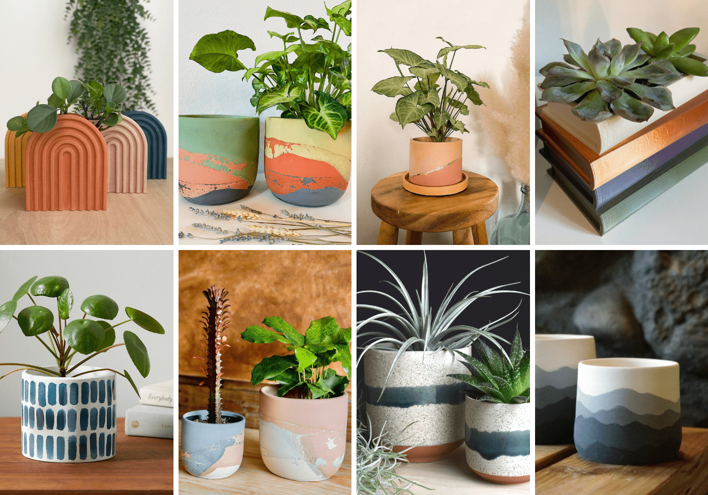 Ceramic and Concrete Planters Pots
