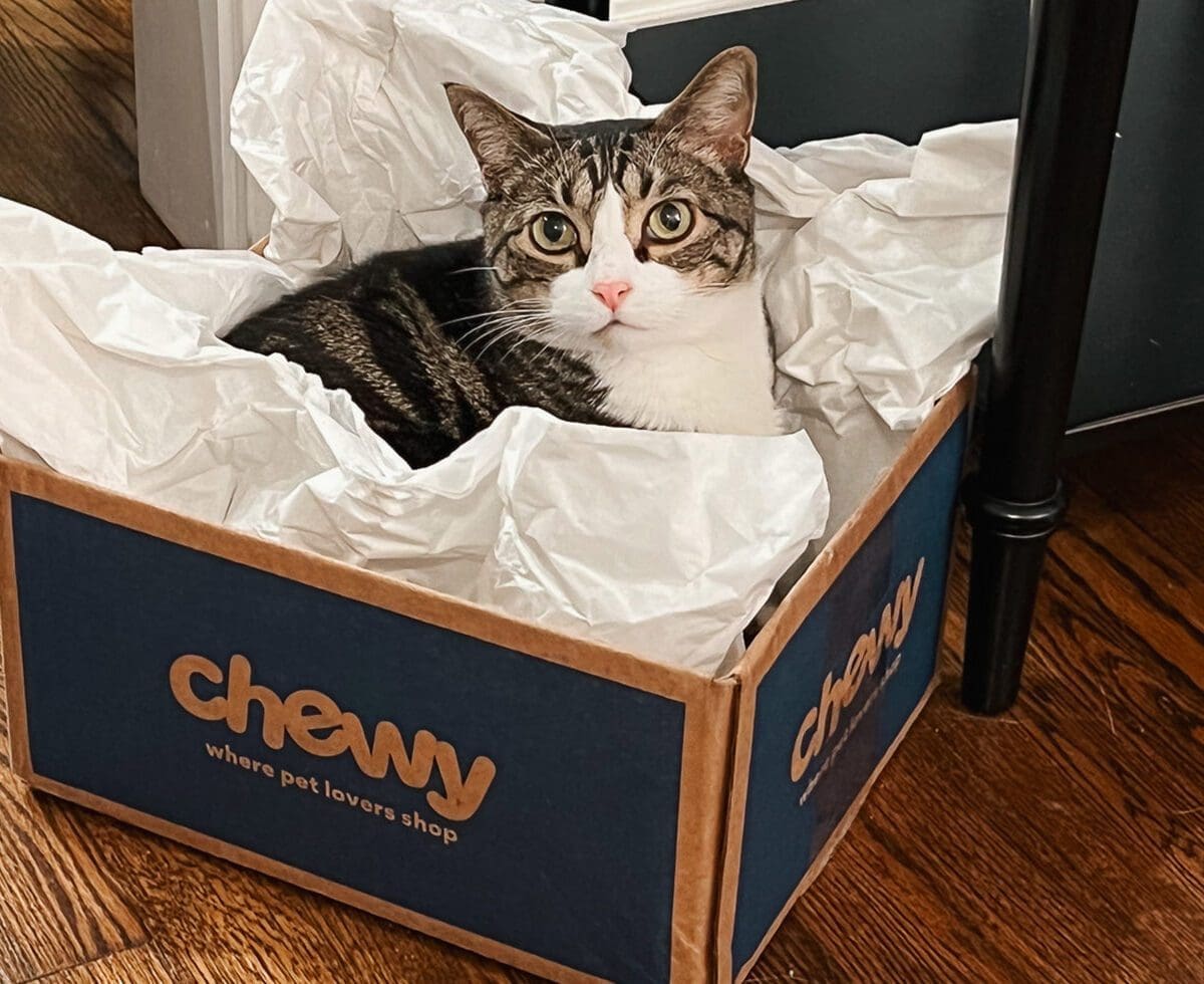 My Monthly Chewy Order