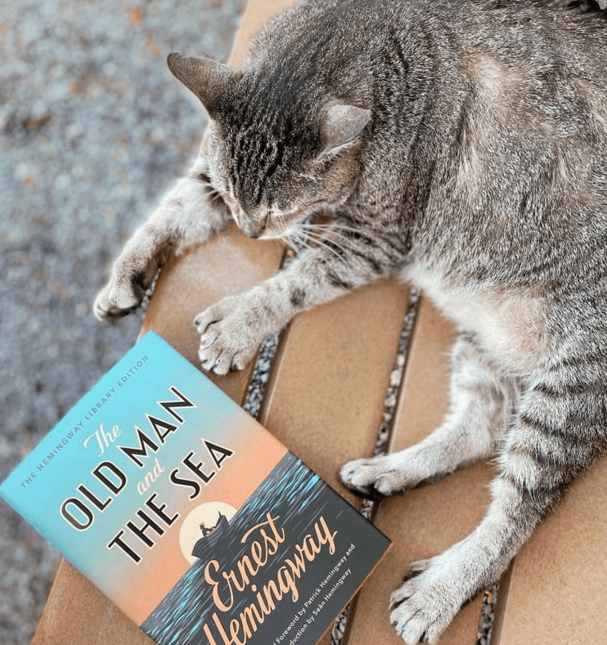 Hemingway Cat in Key West with a copy of The Old Man and the Sea