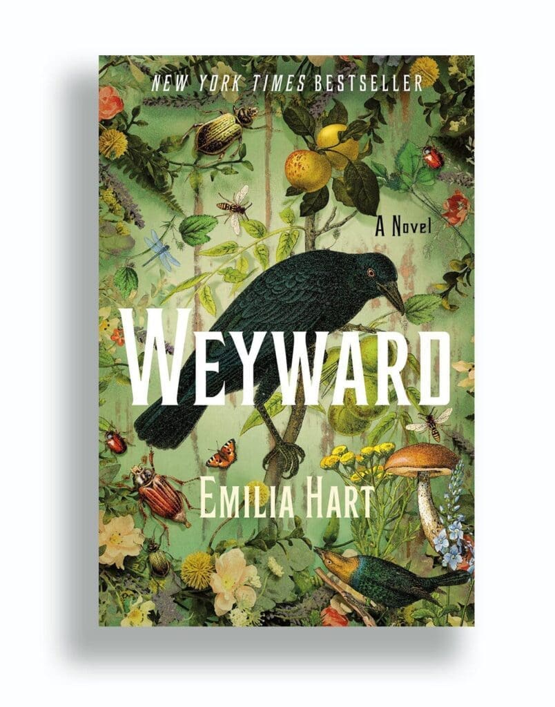 Emilia Hart Weyward Novel