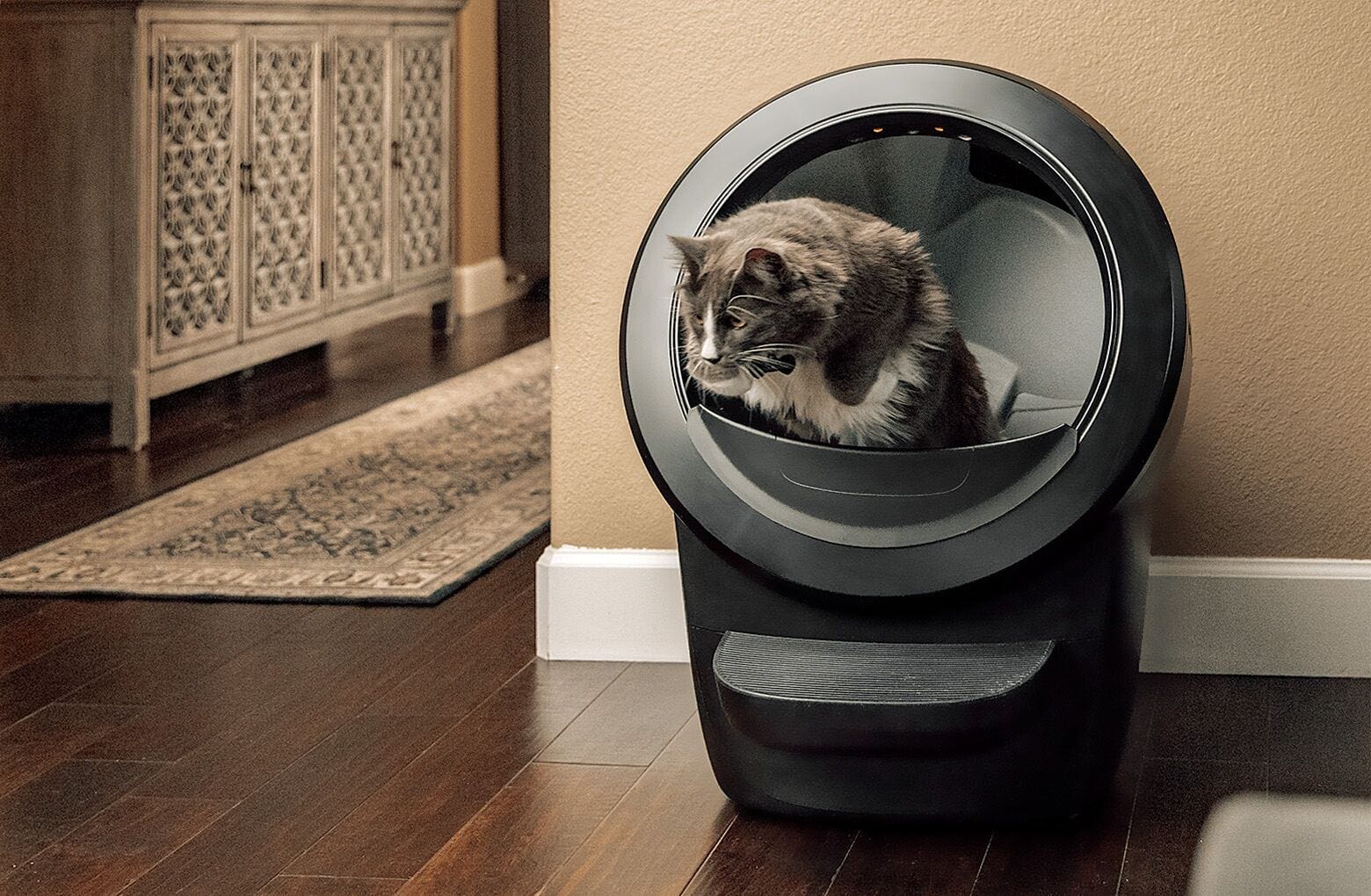 The Litter-Robot 4: The Best Automatic Cat Litter Box