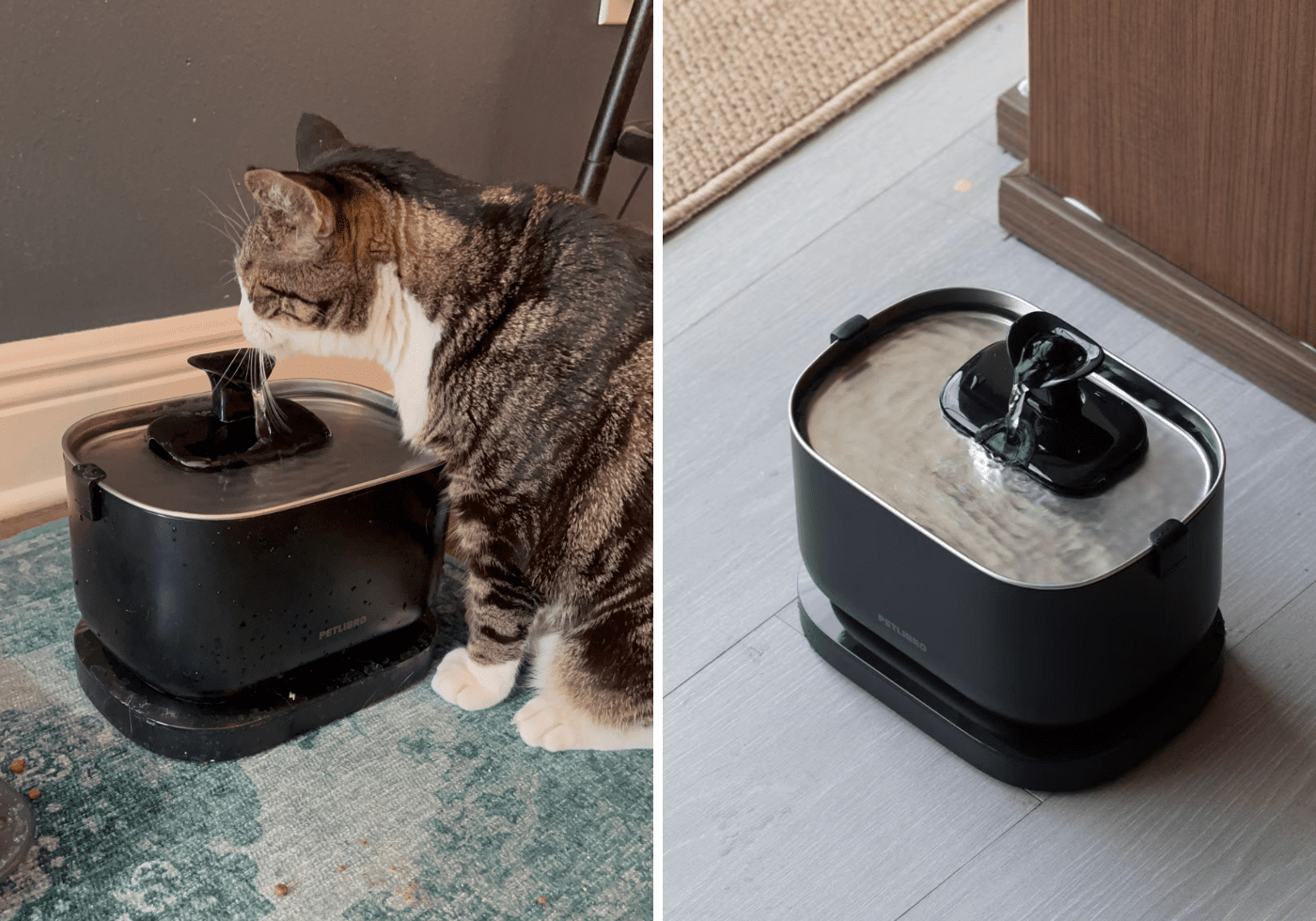 The Best Pet Water Fountains for Cats | Cat Fountain Review
