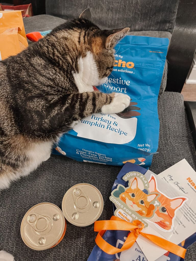 My cat checks out all the cat food goodies