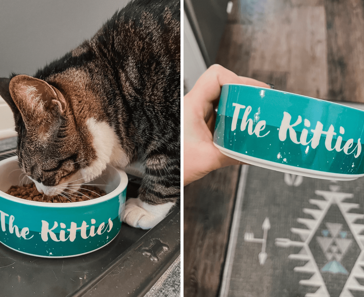 Cute Cat Bowls - Cat Mom Life