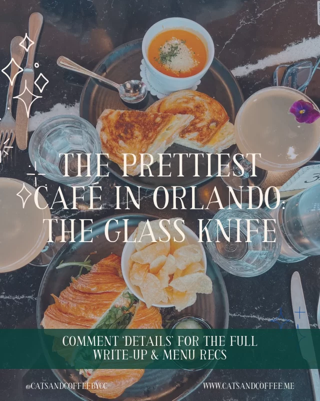 If you’re planning a trip to Orlando — or just love discovering beautiful cafés and delicious food — @theglassknifewp in Winter Park is a must-visit ☕🎂

From tasty lunch options to stunning desserts (and a space that basically begs to be photographed), it’s the kind of spot I find myself coming back to again and again…and again haha 🍰🥐🥣🥂

I wrote about The Glass Knife a while back and just revisited for lunch with my mom while I was visiting last weekend — so I updated the post with new photos, menu tips, and all the reasons why it’s still one of my favorite places to eat in Orlando!

🍰 Want the full write-up? Comment “details” and I’ll send it straight to your DMs!

Are you a sweet or savory person? This café does both so well!