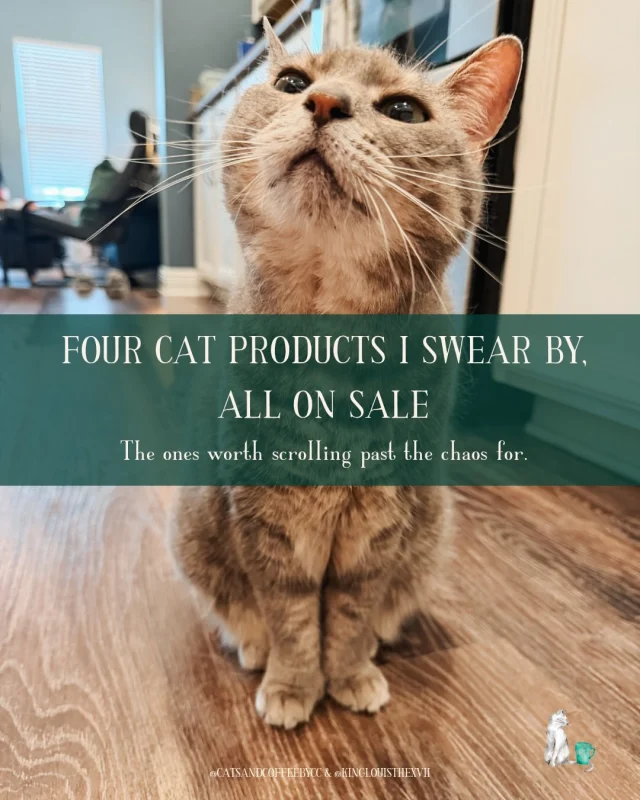Four cat products I swear by — and all of them are on sale for Prime Day!

The pet fountain that Louis, Olivia, and Emory all took to immediately. The beloved sling bed which we’ve had for seven years. The deshedder brush that’s made Olivia’s shedding situation actually manageable (and she loves it, too!). And the air purifier I bought two of (one bedroom, one upstairs), which has been the quiet upgrade I didn’t realize I needed.

Comment CAT and I’ll send you the link to the full list (more Prime Day sale goodies for your furbabies!). Sale ends Friday 🐾