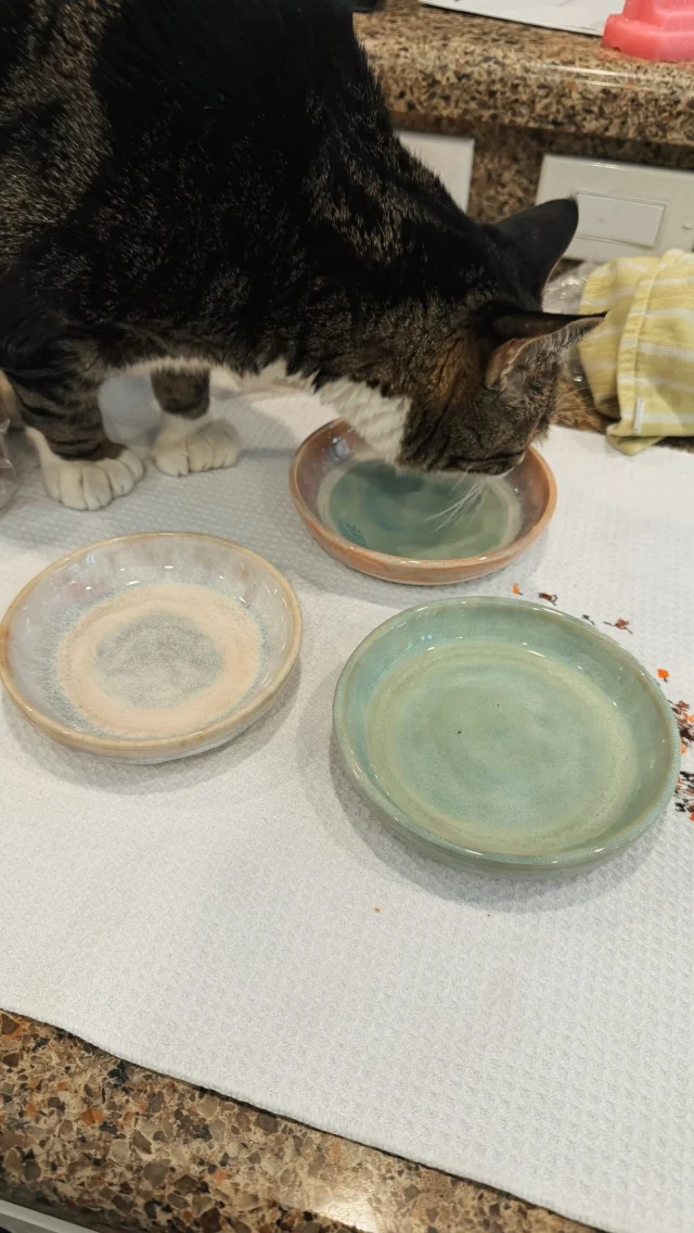 “Finally, fine china as befits our station” - the kitties, probably 

My bestie @the.tedventures commissioned these gorgeous whisker friendly cat bowls from @miamancini.studio for Louis, Olivia, and Emory 😻 

The colors are so pretty and the bowls are the purrfect size and height for the kitties’ whiskers. Such a special gift!