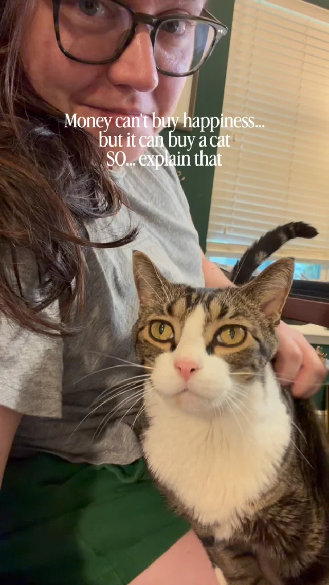 Their adoption fees were the best $75* we ever spent 😻🐾💚 

*Emory had expensive tastes from the start and was $150 😹 probably had something to do with her rescue name being Porsche